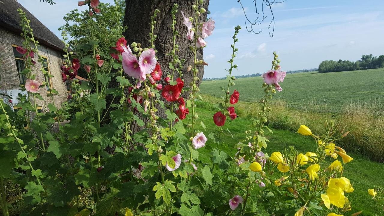 Schipluiden B&B Rechthuis Van Zouteveen المظهر الخارجي الصورة